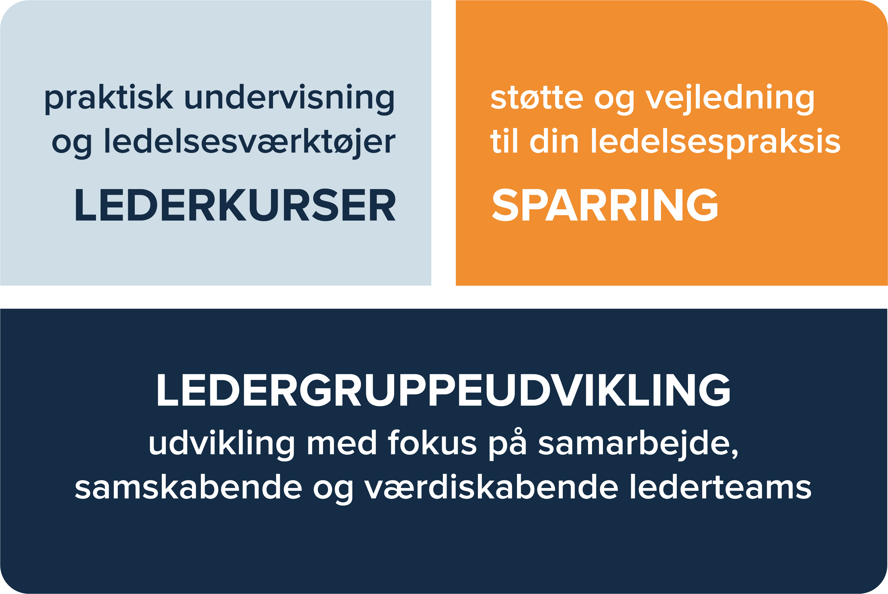 Figur med 3 felter: Individuel sparring, ledergruppeudvikling og lederkurser.