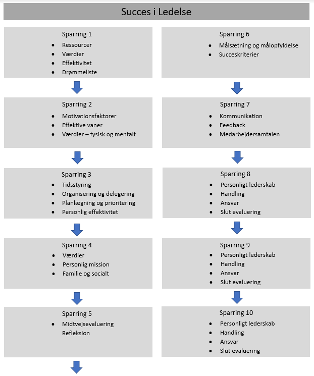 forvirring Savant forskel Progreso - Lederudvikling - Succes i ledelse